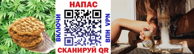 Еда ТГК марихуана  закладки  hydra как войти  Киржач 
