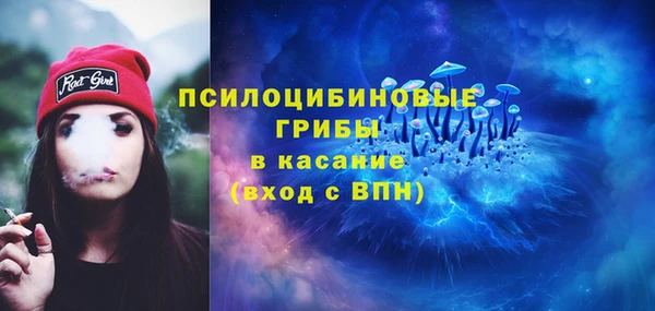 МДПВ Пролетарск