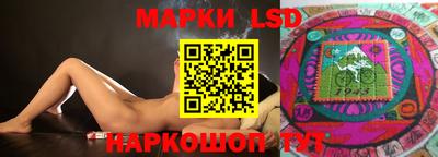 стафф Можга