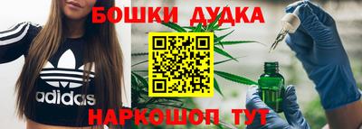 Альфа ПВП Моздок