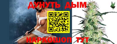 Альфа ПВП Моздок