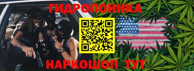 Альфа ПВП Моздок