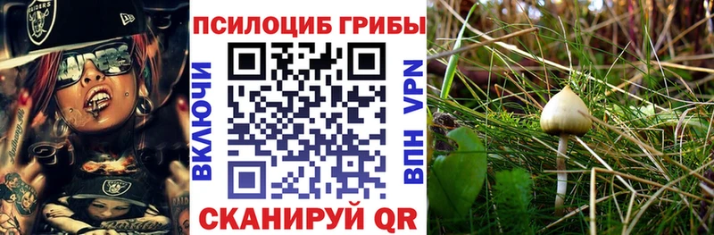 Галлюциногенные грибы мухоморы  Киржач 
