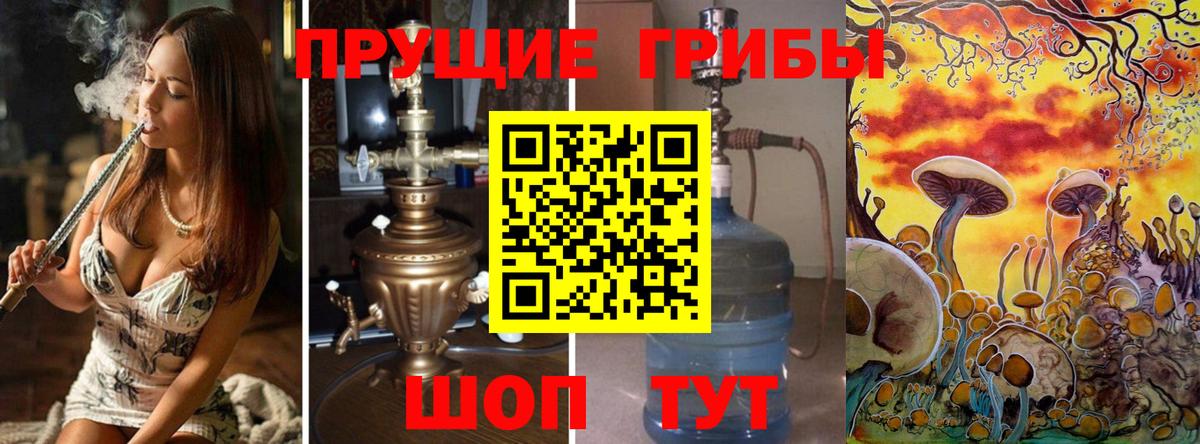 Галлюциногенные грибы Cubensis  Киржач  Галлюциногенные грибы мухоморы 