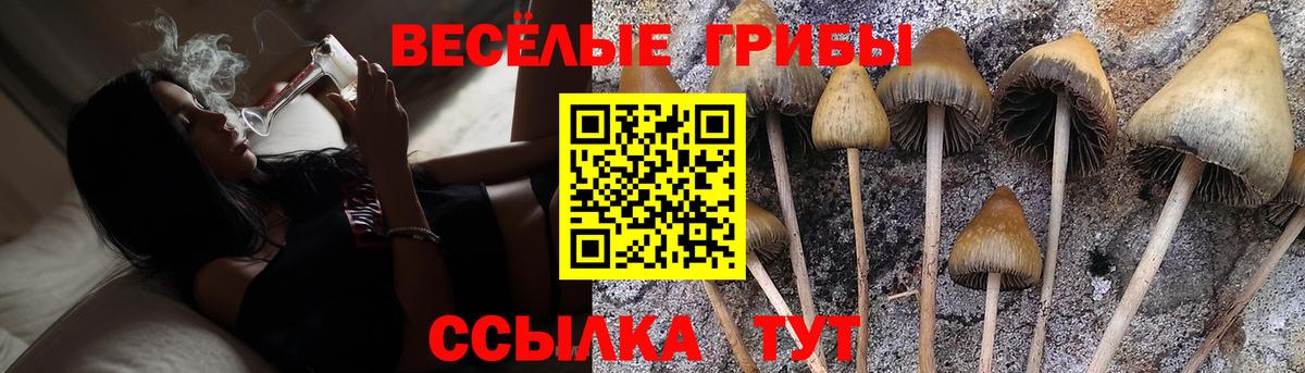Киржач  Псилоцибиновые грибы GOLDEN TEACHER  Вход с VPN 